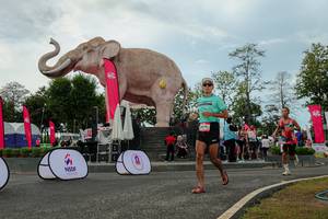 BIB: 
                            <button type="button" onclick="openModal(26528927)" class="btn btn-primary btn-sm float-right btn-popup" data-toggle="modal" data-target=".modal-high-quality">
                        <i class="fas fa-shopping-cart"></i> Add to Cart
                    </button>
                                            <button type="button" onclick="isThisMe(26528927, true)" class="btn btn-success btn-sm float-right btn-popup btn-isme hidden" data-toggle="tooltip" data-placement="bottom" title="นี่คือรูปของคุณใช่ไหม คลิกที่นี่เพื่อเอาเข้าอัลบั้ม">
                        <i class="fas fa-plus"></i> Add to album
                    </button>
                    <button type="button" onclick="isThisMe(26528927, false)" class="btn btn-warning btn-sm float-right btn-popup btn-isnotme hidden">
                        <i class="fas fa-ban"></i> Remove from album
                    </button>